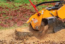 Reliable Bronx, NY Tree Services Solutions